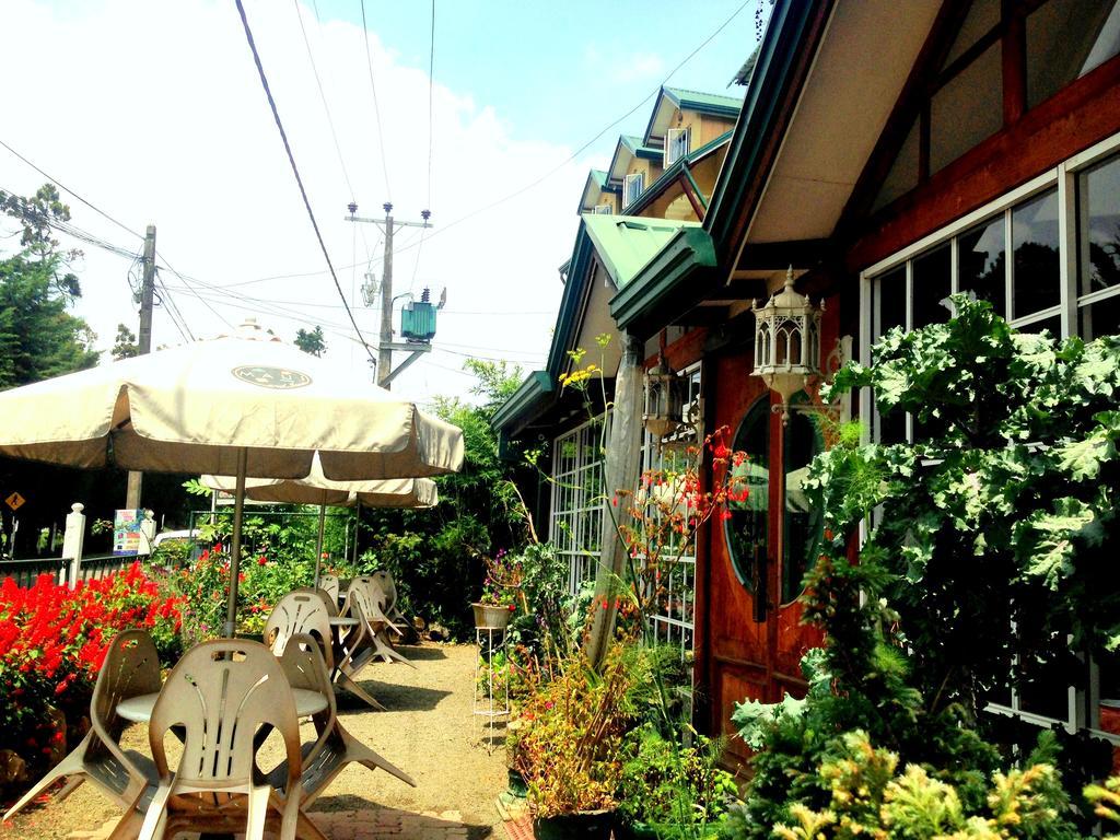 Colling Wood Hotel Νουβάρα Ελίγια Εξωτερικό φωτογραφία